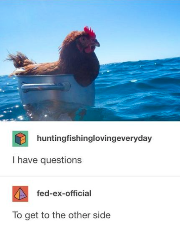 Meme of the week