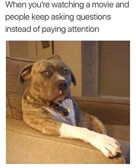 Meme of the week