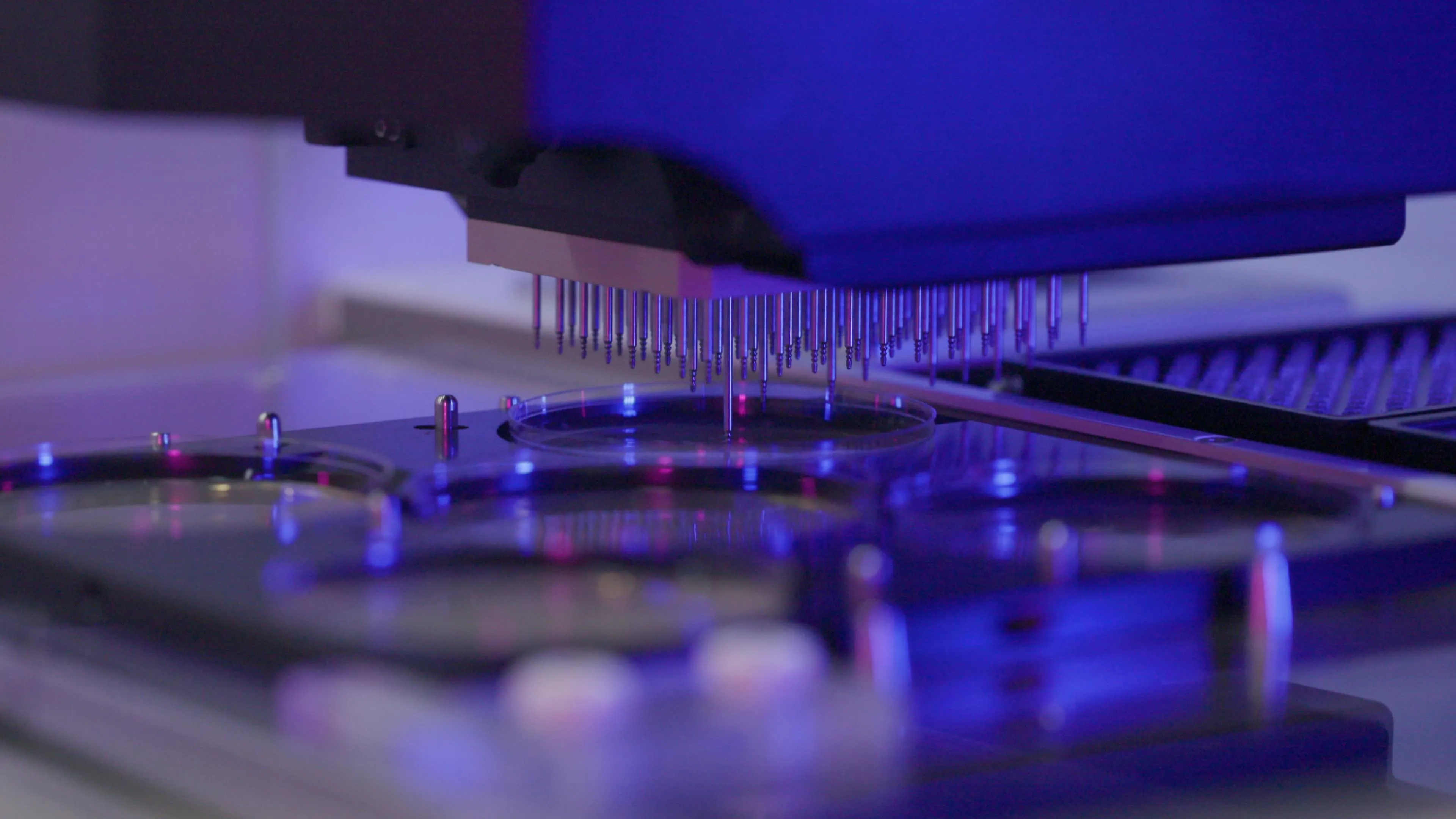 Science Corp opsin protein research