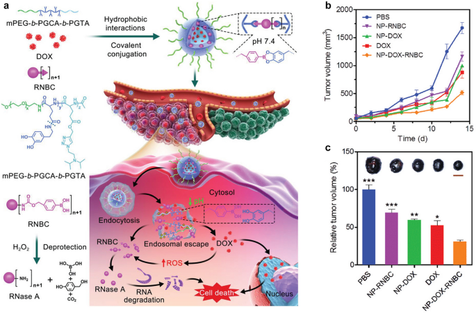 WHO vaccination milestone in Western Pacific
